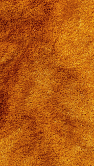 cinnamon_web