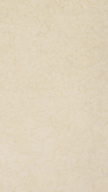 pizzarro_web_grande