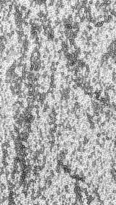 steel_web